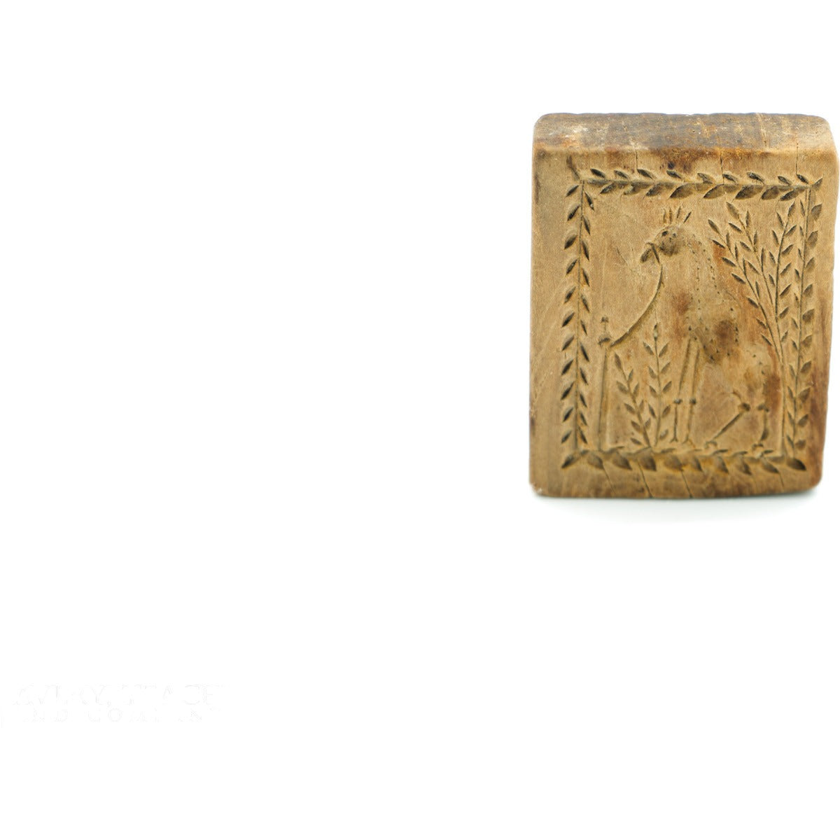 Chicken Cookie Print