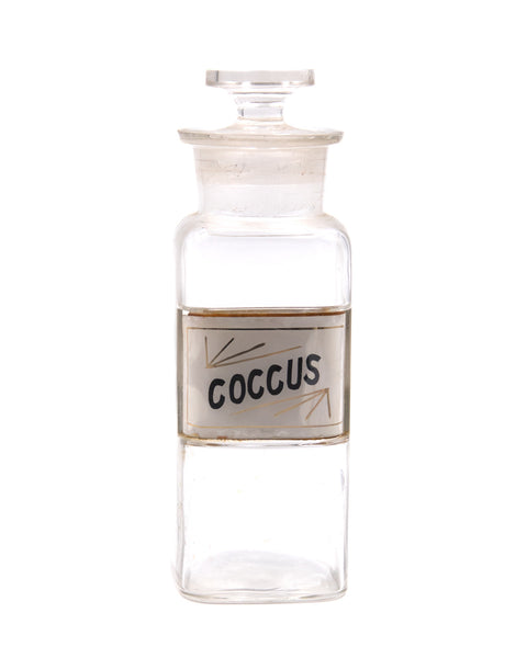 Apothecary Jar - Coccus
