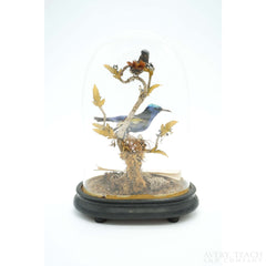 Rare Victorian Taxidermy Blue Honeycreeper & Topaz Hummingbird Mounted on Wooden Base - Avery, Teach and Co.