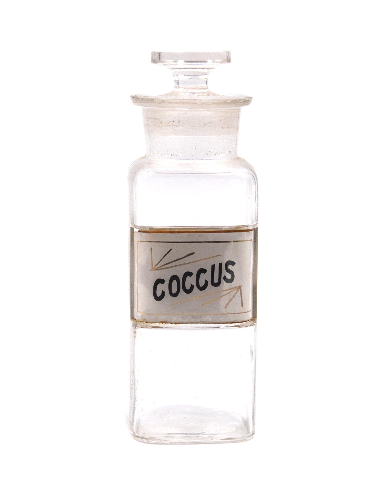 Apothecary Jar - Coccus
